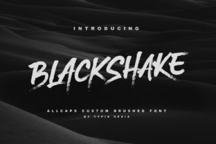 BlackShake: Adding Textured Style to Your Designs